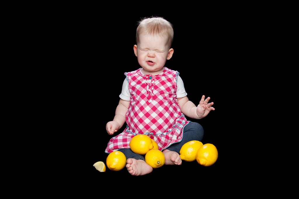 Lemon Babies at Made Portraits in now a finalist in the Somerset Business Awards